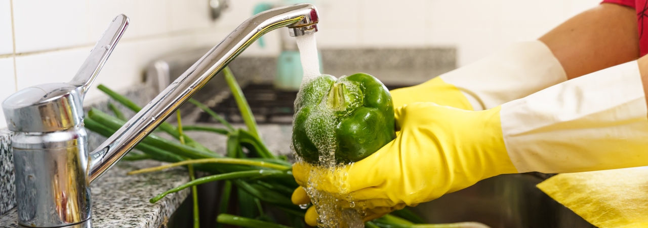 Higiene y Manipulación de Alimentos
